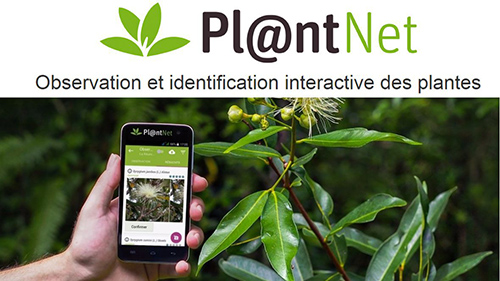 PlantNet