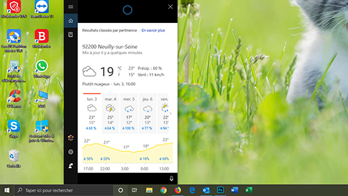 cortana