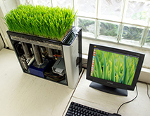  Plante PC