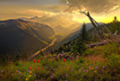 fond d'écran paysage